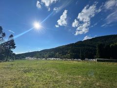 -武陵山森林公园