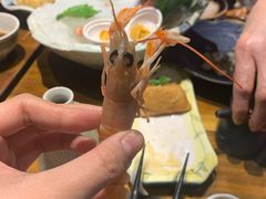 -和彩放题餐厅(酒仙桥店)