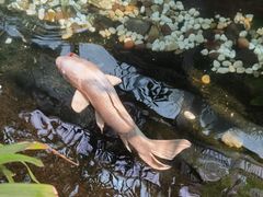 -聚缘堂·海鲜私房菜(松岭路店)