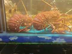 -花开富贵平潭海鲜楼(平潭店)
