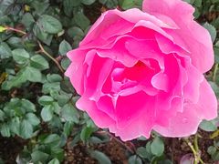 -人民公园(罗湖区)