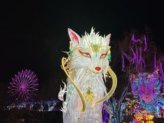 -淄博花灯齐彩城