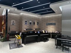 -知音艺术教育培训·钢琴培训·音乐培训(河西金鹰世界校区)