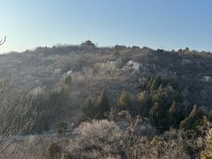 -白水寺森林公园
