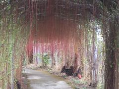 -茂德公草堂