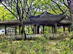 -九龙寨城公园