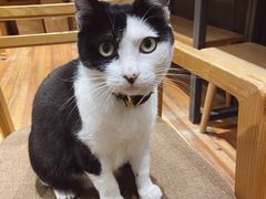 -猫的天空之城概念书店(杭州南宋御街店)