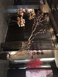 -盘子女人坊古装写真摄影(深圳店)