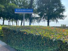 -阳澄湖费尔蒙酒店