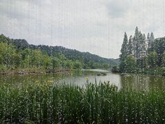 -常德桃花源景区