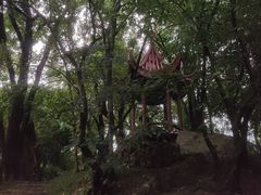 -花溪公园