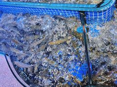 -青蓬蒸汽海鲜·深圳老字号·团建聚会(壹方城店)