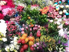 -双季花艺园艺市场(浦东店)