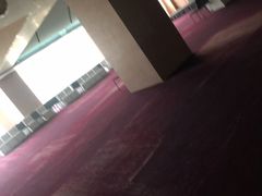 -成都凯宾斯基饭店