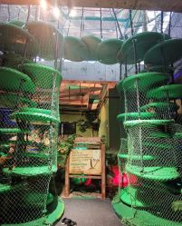 -恐龙探索乐园(磁器口店)