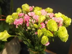 -周家二小姐的菜·扬州菜·香炒蟹·狮子头(江都金鹰店)