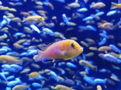 -成都浩海立方海洋公园