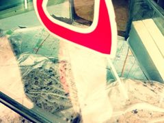 -杨招娣糕点(装驾桥巷店)