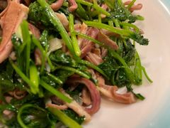 芫爆肚丝-鼎香润(德胜门内店)