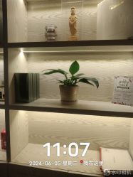 点击看大图 -东英经典SKIN&SPA