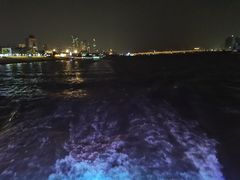 -武昌中华路码头(轮渡站)