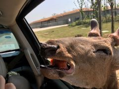 -南京金牛湖风景区