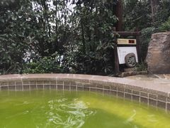 -天目湖涵田半山温泉