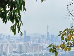 -火炉山森林公园
