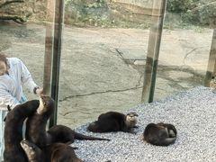 -昆明动物园