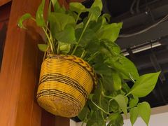 -沸腾鱼乡(知春路分店)
