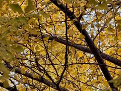 -杭州城北体育公园