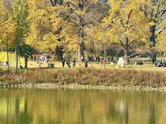 -千年银杏谷文化旅游区