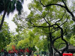 -荔湾湖公园