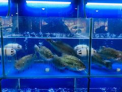 -百家鲜·杭帮菜