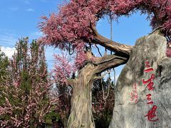 -昌州古城