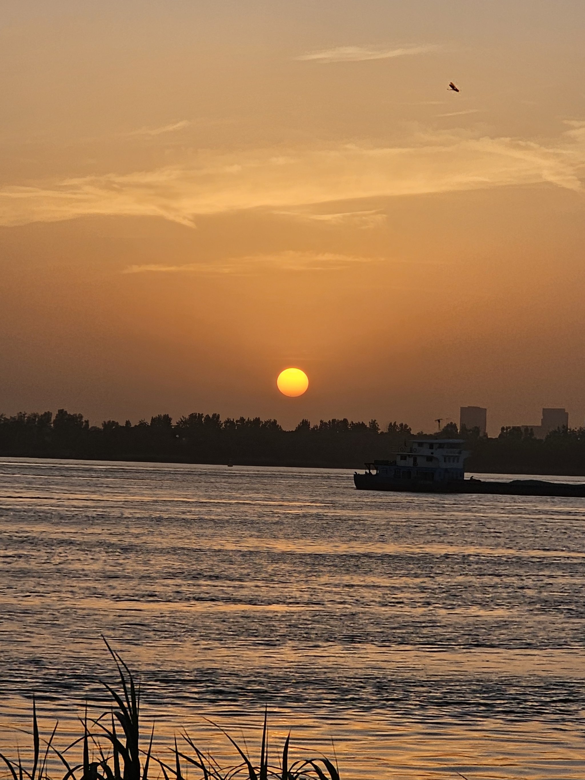 南京鱼嘴湿地公园夕阳图片