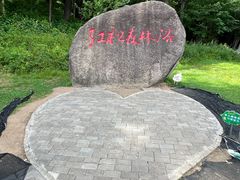 -五营红松林海景区