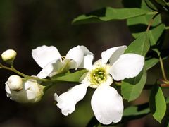 -汉中石门栈道景区