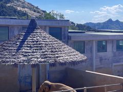 -西霞口神雕山野生动物世界