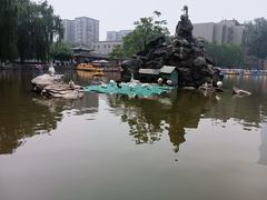 -团结湖公园
