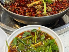 -蛙蛙鸡冷锅鱼(驷马桥店)