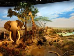 -陕西自然博物馆