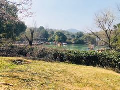 -白马涧龙池景区