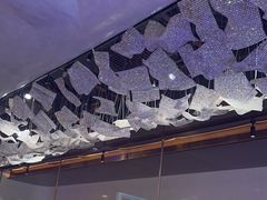 -佐度王子扒房(爱建卓展店)