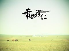 -希拉穆仁草原
