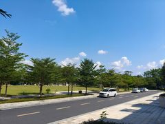 -风云岭森林公园