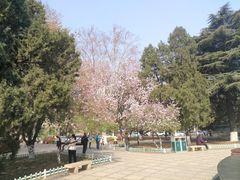 -山东师范大学(千佛山校区)