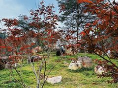 -广州市帽峰山景区