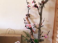 -朝郡酒家·粤菜(燕大星苑店)