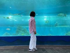 -苏州海洋馆